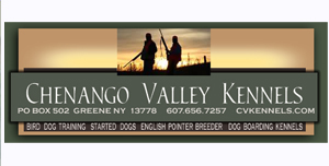 $200 AFFORDABLE BUDGET CUSTOM WEBSITES FREE QUOTE 570.937.9054 Diane La Ware SERVICES Hamlin Honesdale Pocono&rsquo;s Scranton Carbondale North East Wayne County PA USA